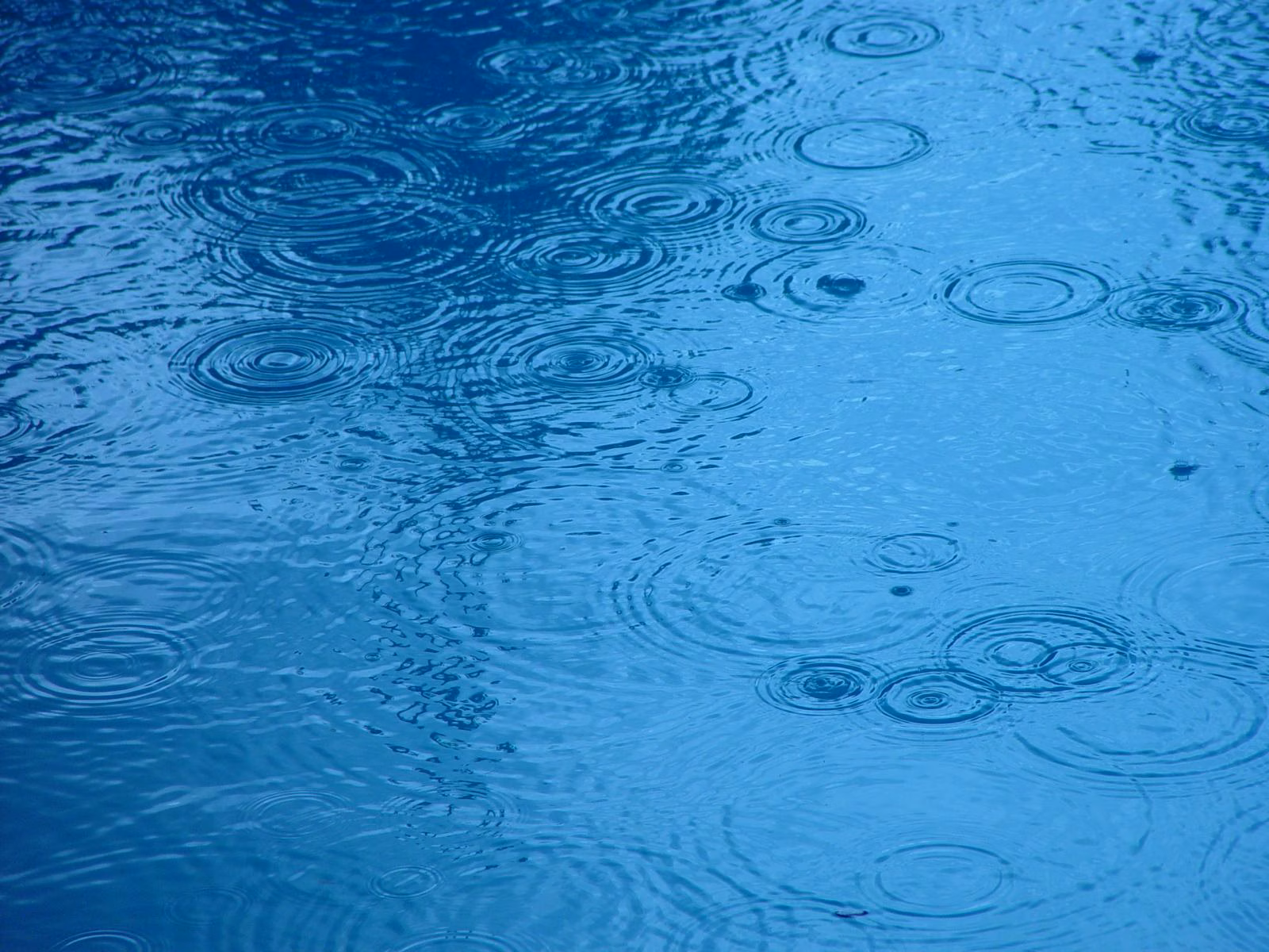 Rain Ripples