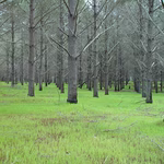 Post Format: Gallery