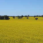 Post Format: Gallery